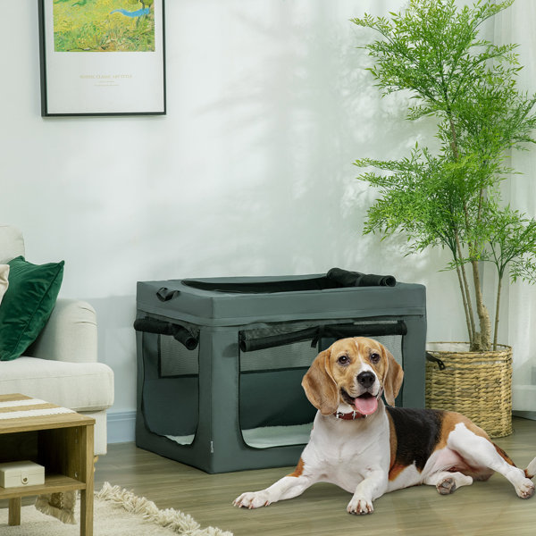 Archie & Oscar Carlee Pet Carrier Wayfair.co.uk